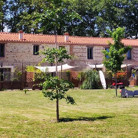 Les Appartements Du Mas Riols Saint-Cyprien  Exterior foto